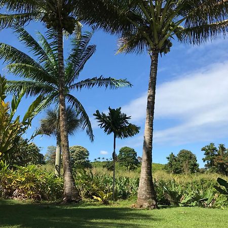 Island Goode'S - Luxury Adult Only Accommodation Near Hilo Papaikou Luaran gambar