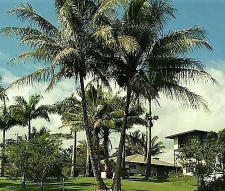 Island Goode'S - Luxury Adult Only Accommodation Near Hilo Papaikou Luaran gambar