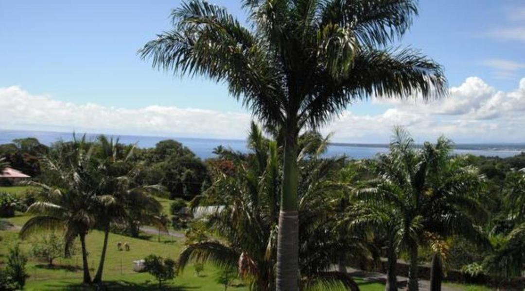Island Goode'S - Luxury Adult Only Accommodation Near Hilo Papaikou Luaran gambar