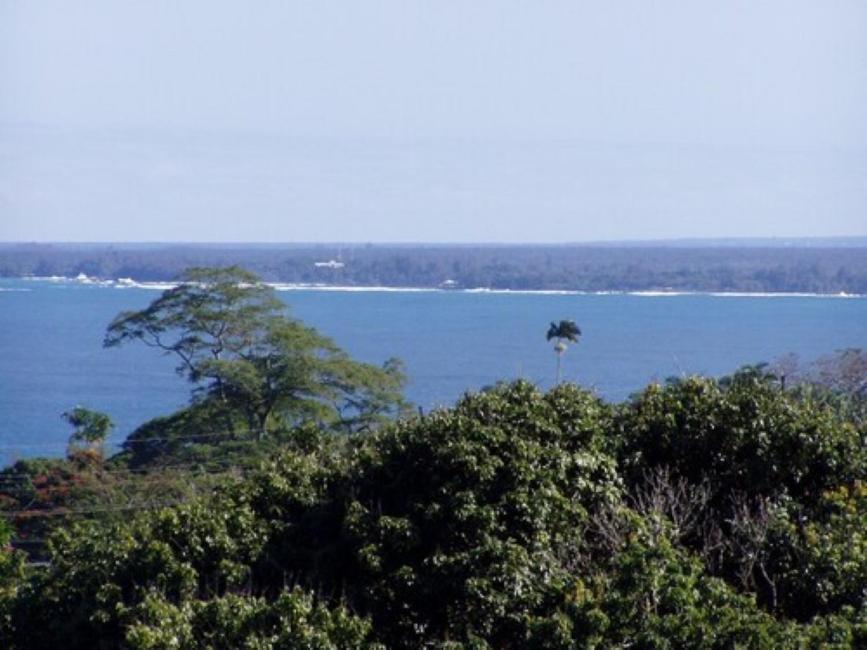 Island Goode'S - Luxury Adult Only Accommodation Near Hilo Papaikou Luaran gambar