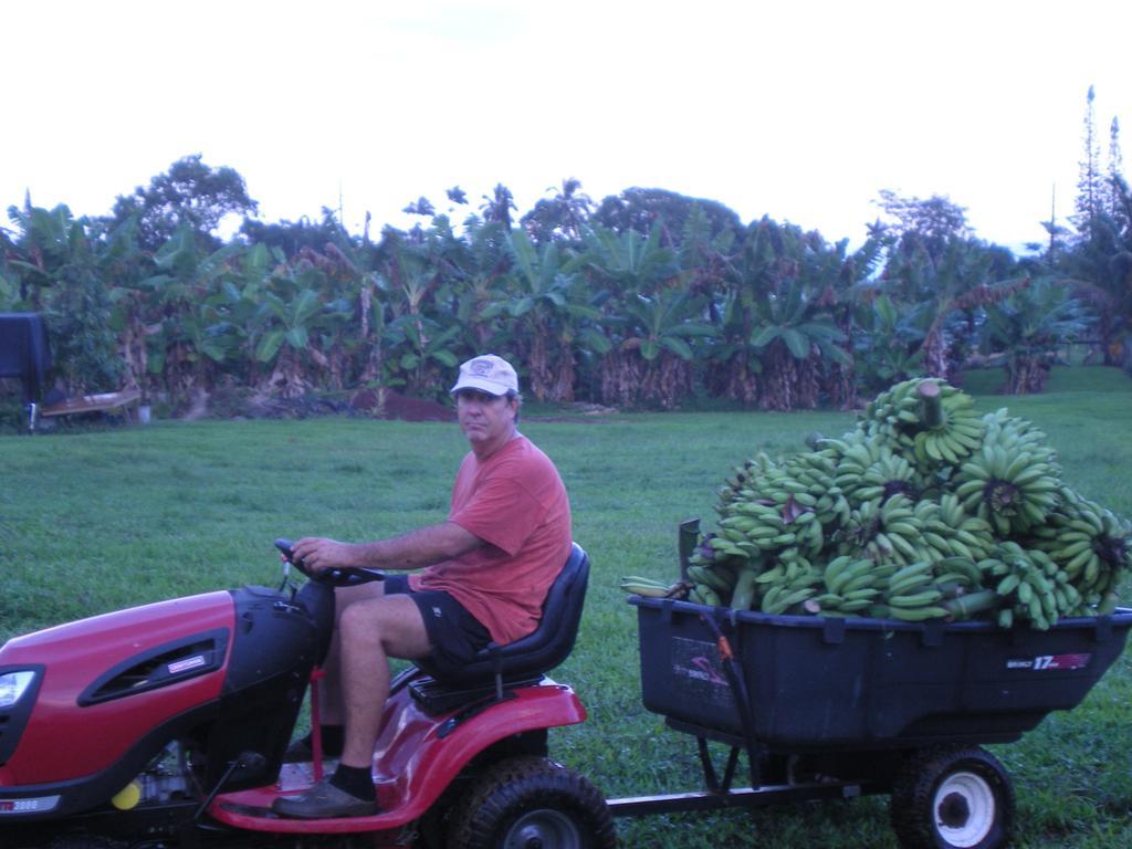 Island Goode'S - Luxury Adult Only Accommodation Near Hilo Papaikou Luaran gambar