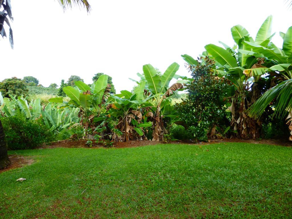 Island Goode'S - Luxury Adult Only Accommodation Near Hilo Papaikou Luaran gambar