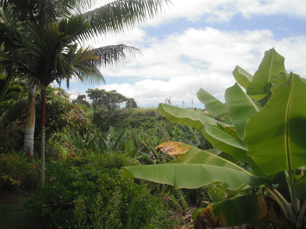 Island Goode'S - Luxury Adult Only Accommodation Near Hilo Papaikou Luaran gambar