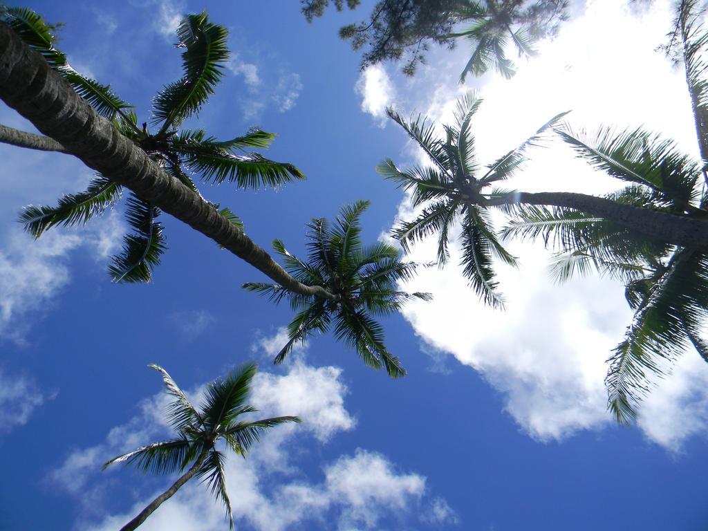 Island Goode'S - Luxury Adult Only Accommodation Near Hilo Papaikou Luaran gambar