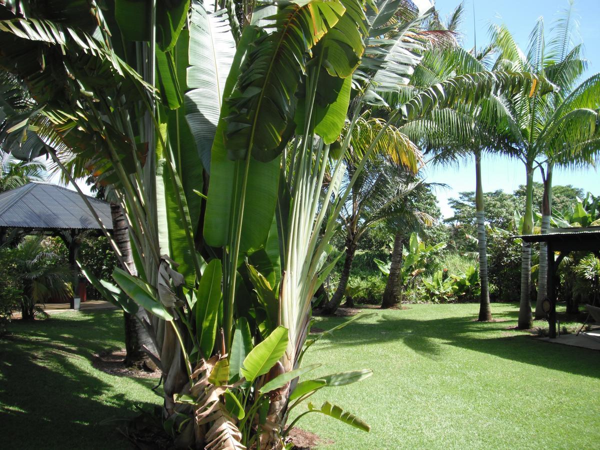 Island Goode'S - Luxury Adult Only Accommodation Near Hilo Papaikou Luaran gambar