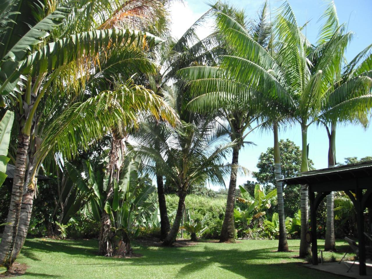 Island Goode'S - Luxury Adult Only Accommodation Near Hilo Papaikou Luaran gambar